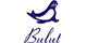 Bulut Yaynlar