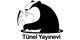 Tnel Yaynevi