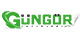 Gngr Yaynlar