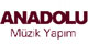 Anadolu Mzik