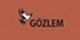 Gzlem Gazetecilik