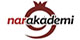 Nar Akademi