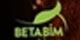 Betabim Yaynlar