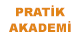 Pratik Akademi