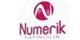 Numerik Yaynclk