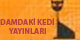 Damdaki Kedi Yaynlar