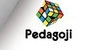 Pedagoji Yaynlar