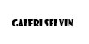 Galeri Selvin Yaynlar