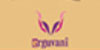 Erguvani Yaynevi