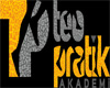 Pratik Akademi Yaynlar