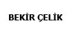 Bekir elik