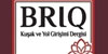 Kuak ve Yol Giriimi Dergisi (BRIQ) Yaynlar