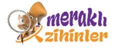 Merakl Zihinler
