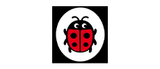 Ladybird Yayınevi