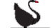 Blackswan Publishing House