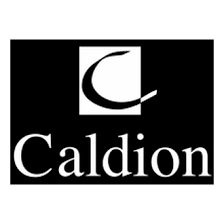 Caldion