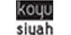 Koyu Siyah Kitap