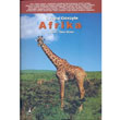 Gezgin Gzyle Afrika Alter Yaynlar