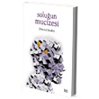 Soluun Mucizesi DeliDolu