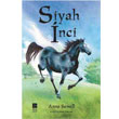 Siyah nci Bilge Kltr Sanat