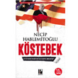 Kstebek Pozitif Yaynlar