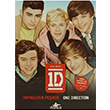 One Direction Hayallerin Peinde Pegasus Yaynlar