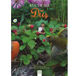 Kk Bir D 1001 iek Kitaplar