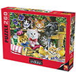 Puzzle 260 Para Banyo Zaman PERRE3282 Anatolian