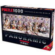 Anatolian Puzzle 1000 Parça Panoramik Sıra Sıra Yumurcaklar 1027