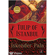  Tulip Of İstanbul Kapı Yayınları