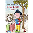 Evliya elebi Gibi Krmz Kedi Yaynlar