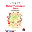 Meteor Yaz Kampnn Esrar Krmz Kedi Yaynlar