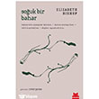 Souk Bir Bahar Krmz Kedi Yaynlar