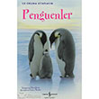 Penguenler  Bankas Kltr Yaynlar