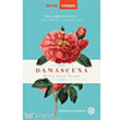 Damascena Doan Novus Yaynlar