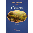 Cesaret Tulpars Yaynevi