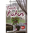 Evdeki Kabus Altnpost Yaynclk