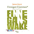 Finnegan Uyanmas Sel Yaynclk