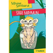 Sar Maymun Tudem Yaynlar