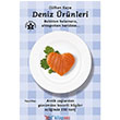 Deniz rnleri Hayy Kitap