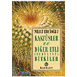 Kaktsler ve Dier Etli (Sukulent) Bitkiler Remzi Kitabevi