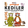 Kediler Hep Drt Ayak stne mi Der? Hayy Kitap