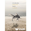 Cesurlara Davet Delidolu Kitap