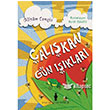 alkan Gn Iklar Evrensel Basm Yayn