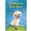 stenmeyen Kedi Bulut Pegasus Yaynlar
