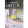 Buzdan Kllar letiim Yaynlar