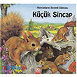 Kk Sincap Ciltli Altn Kitaplar