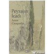 Peyzajn cad Dost Kitabevi Yaynlar