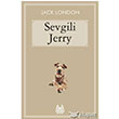 Sevgili Jerry Arkada Yaynlar