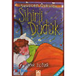 Sihirli Ddk Altn Kitaplar - zel rn